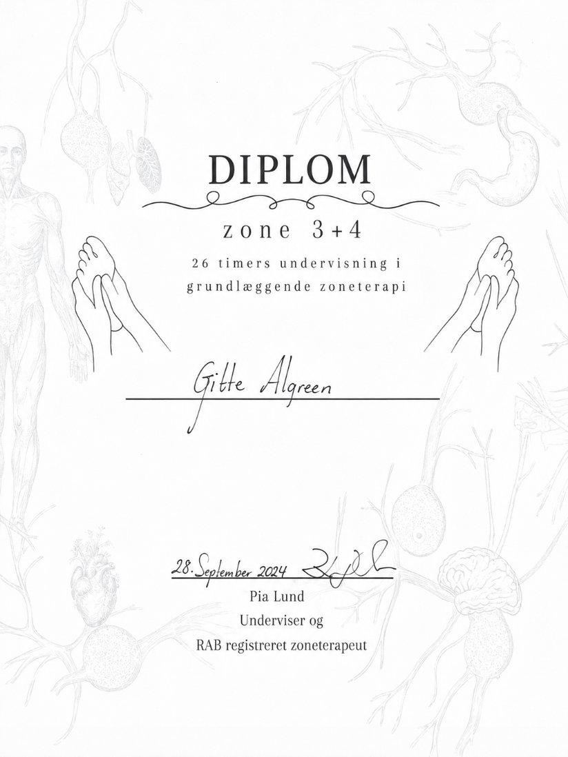 Zoneterapi-diplom Zone 3+4